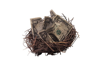 crumpled of U.S. dollar bills on nest